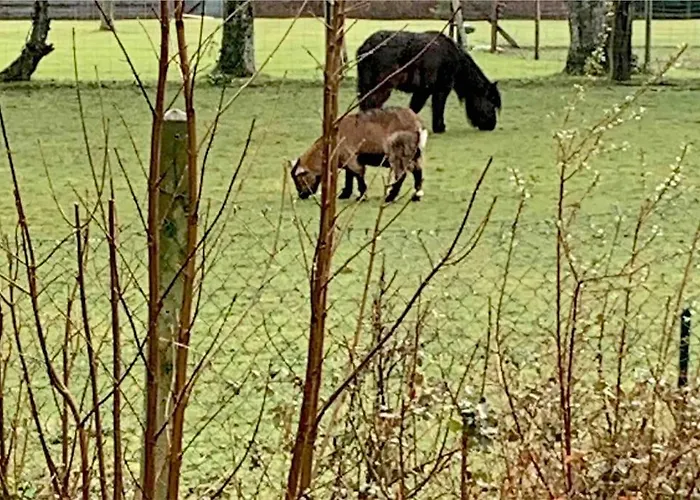 Maison Au Calme Avec Jardin Près Du Château, Forêt Et Casa vacanze Condette