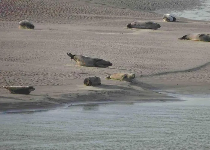 Maison Au Calme Avec Jardin Près Du Château, Forêt Et Casa vacanze