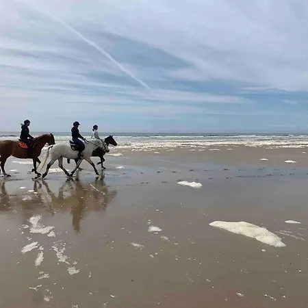 Ferienhaus Maison Au Calme Avec Jardin Pres Du Chateau, Foret Et